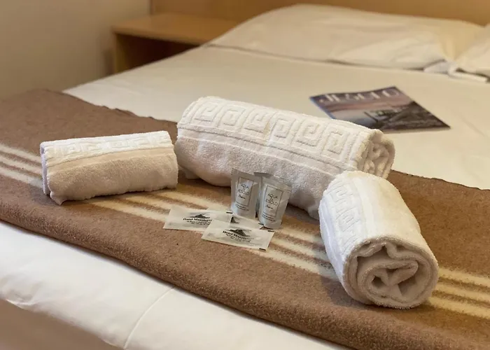 Hotel Mazzini 3*