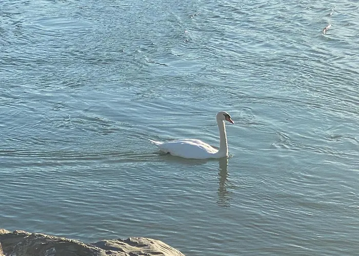 Mazzini Hotel Lido di Jesolo